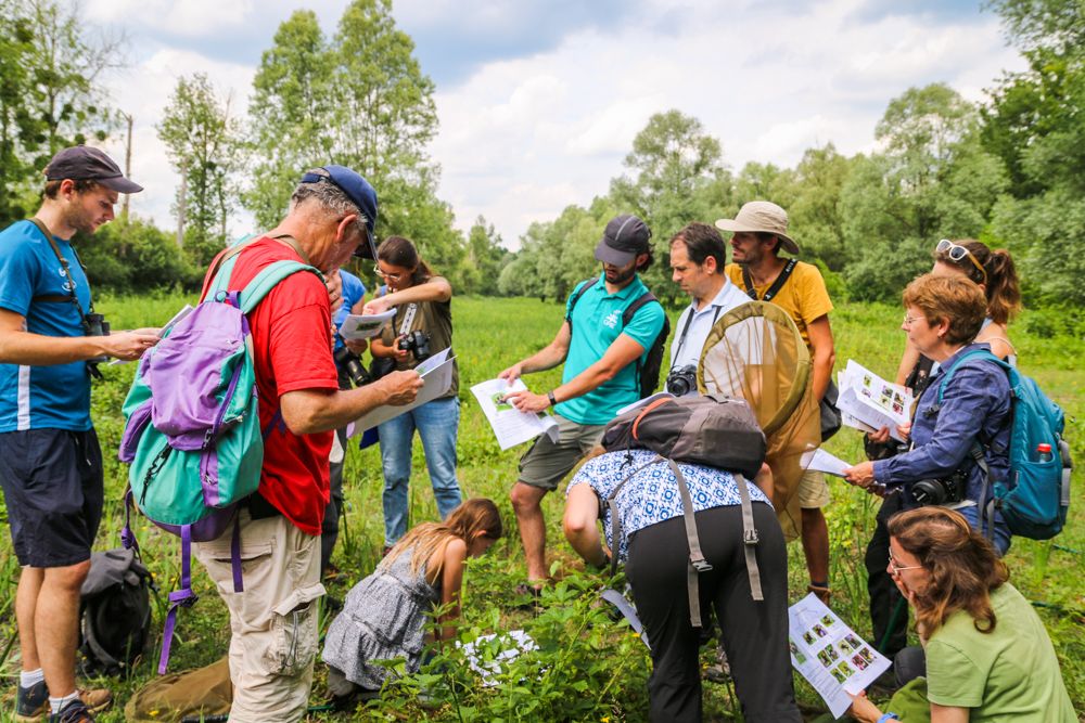 Atelier d'observation de la nature
